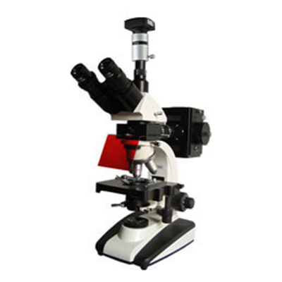 UIS熒光顯微鏡BM-20AYD（電腦、落射）